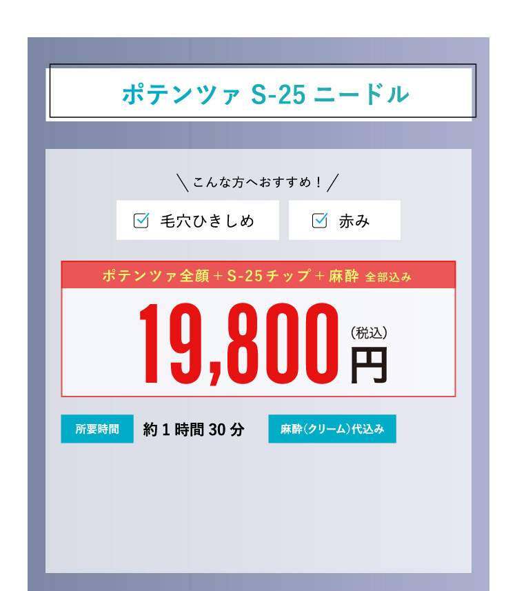 ポテンツァ S-25 ニードル ¥19,800