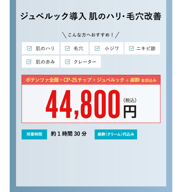 ジュベルック導入 肌のハリ・毛穴改善 ¥44,800