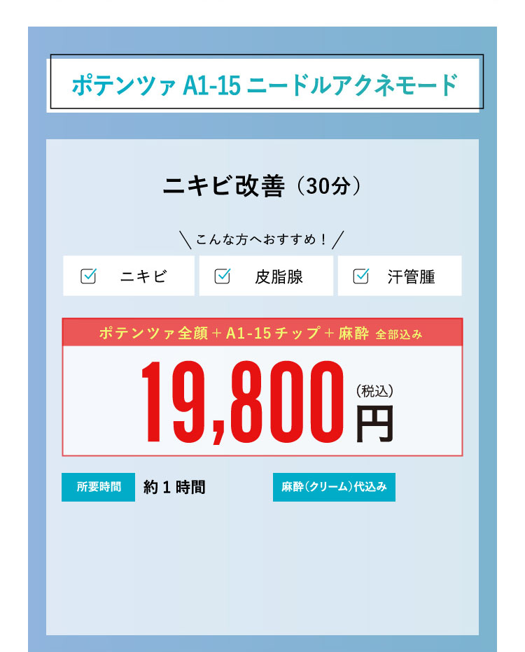 ポテンツァA1-15 ニードルアクネモード ¥19,800