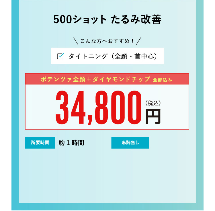 ポテンツァ ダイヤモンドチップ 500ショット ¥34,800