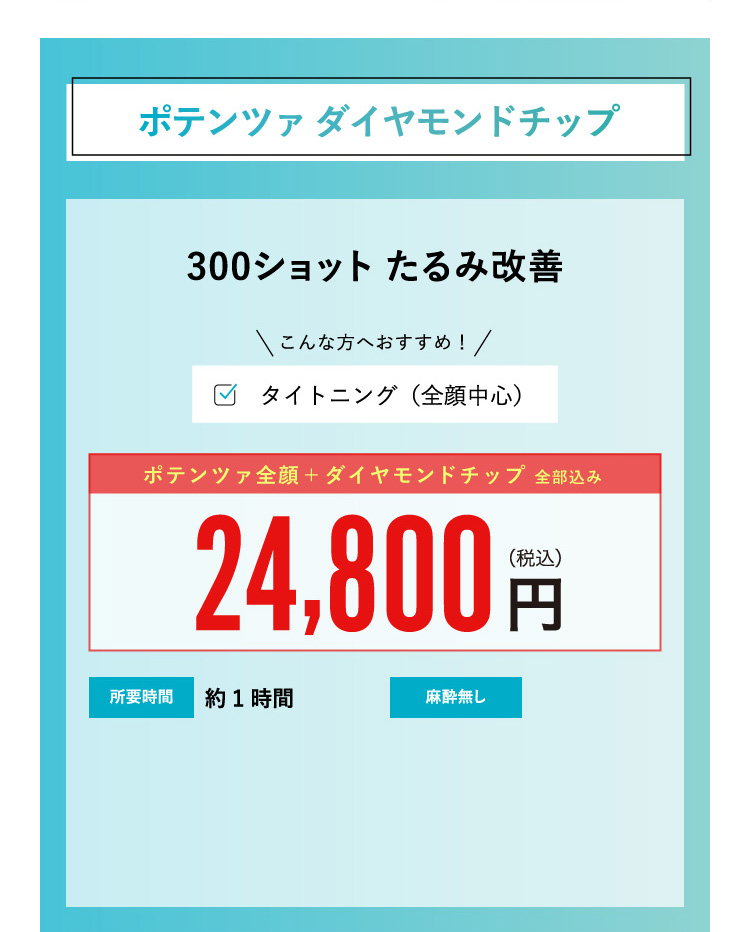 ポテンツァ ダイヤモンドチップ ¥24,800 / ¥34,800
